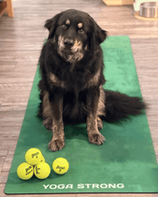 Load image into Gallery viewer, Wimbledon - Yoga Strong

