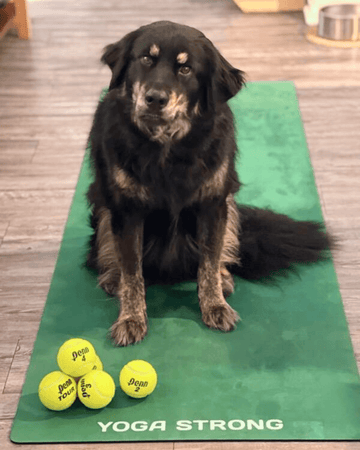 Wimbledon - Yoga Strong